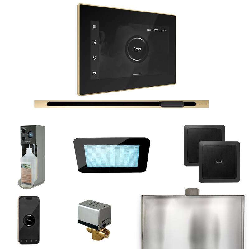 Mr Steam XDRM2L Xdream Linear Package Steam Shower Control Package - Black / Polished Brass
