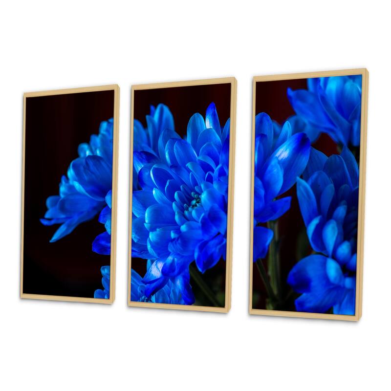 Designart "Blue Chrysanthemum Flowers On Black II" Traditional Framed