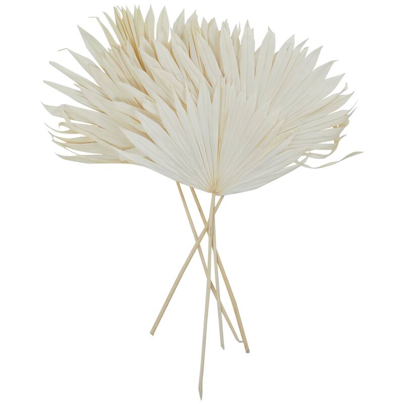 White or Dark Brown Dried Plant Handmade Large Sun Spear Palm Leaf Natural Foliage