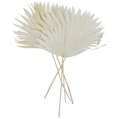 White or Dark Brown Dried Plant Handmade Large Sun Spear Palm Leaf Natural Foliage