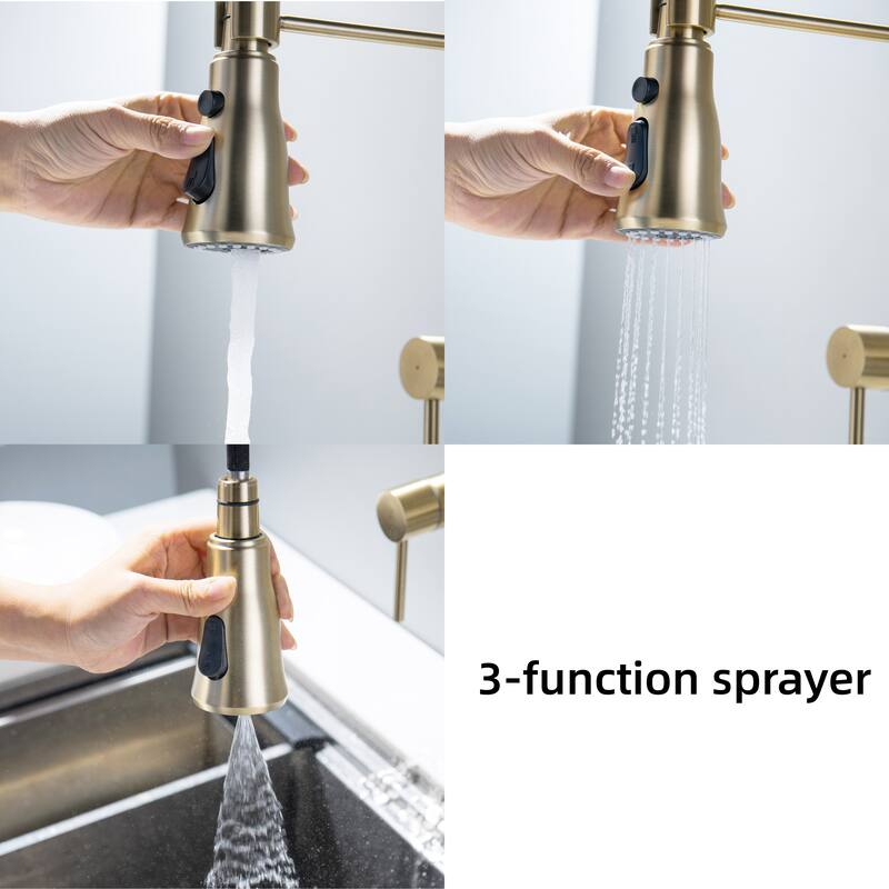 Modland Wall-Mounted Kitchen Faucet with Pull Down Sprayer 3-Function in Brushed Gold/Matte Black