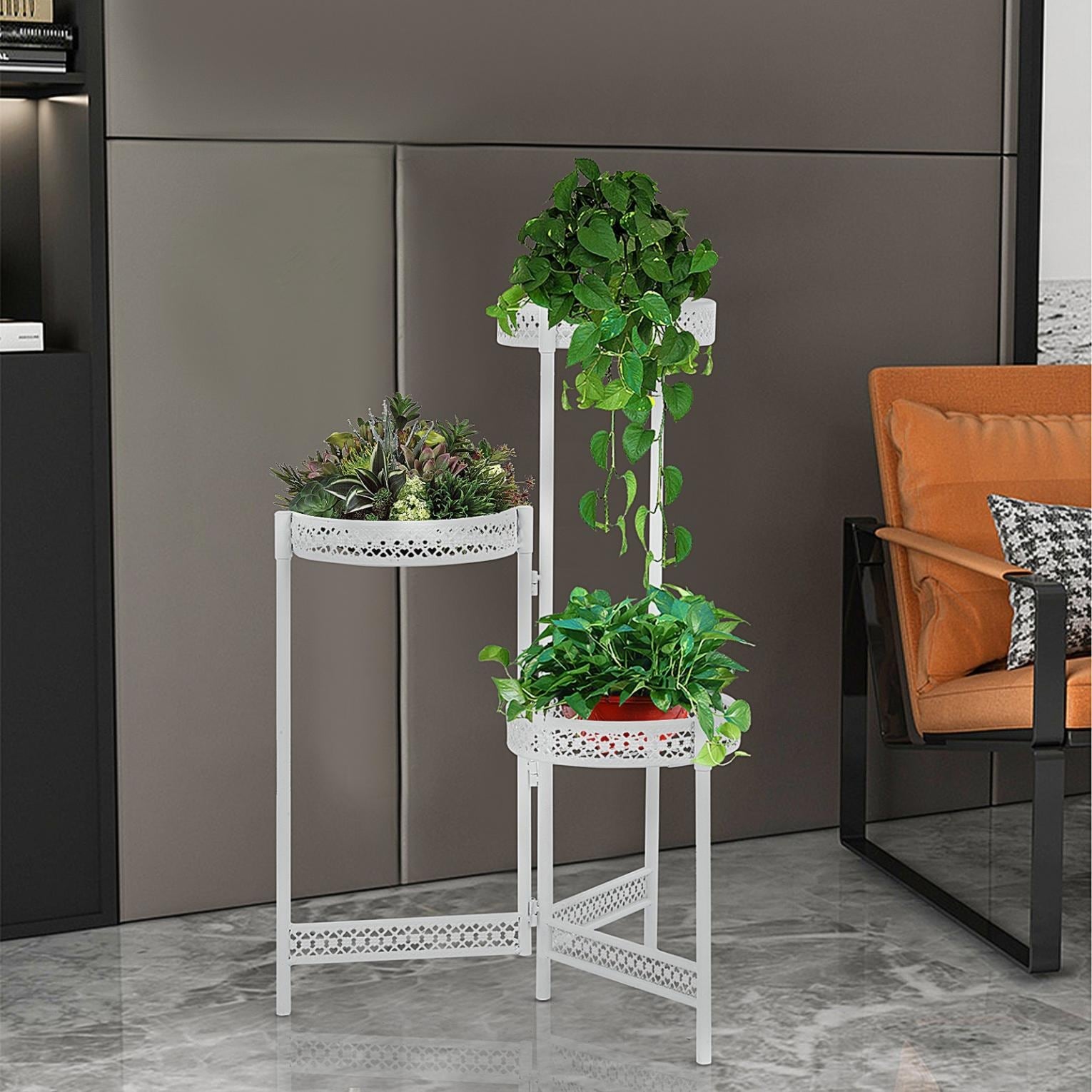 house plants sticky stakes Houseplant Sticky Stakes - Safer's Sticky Stiks - House Plants Delivery  Toronto main image 1