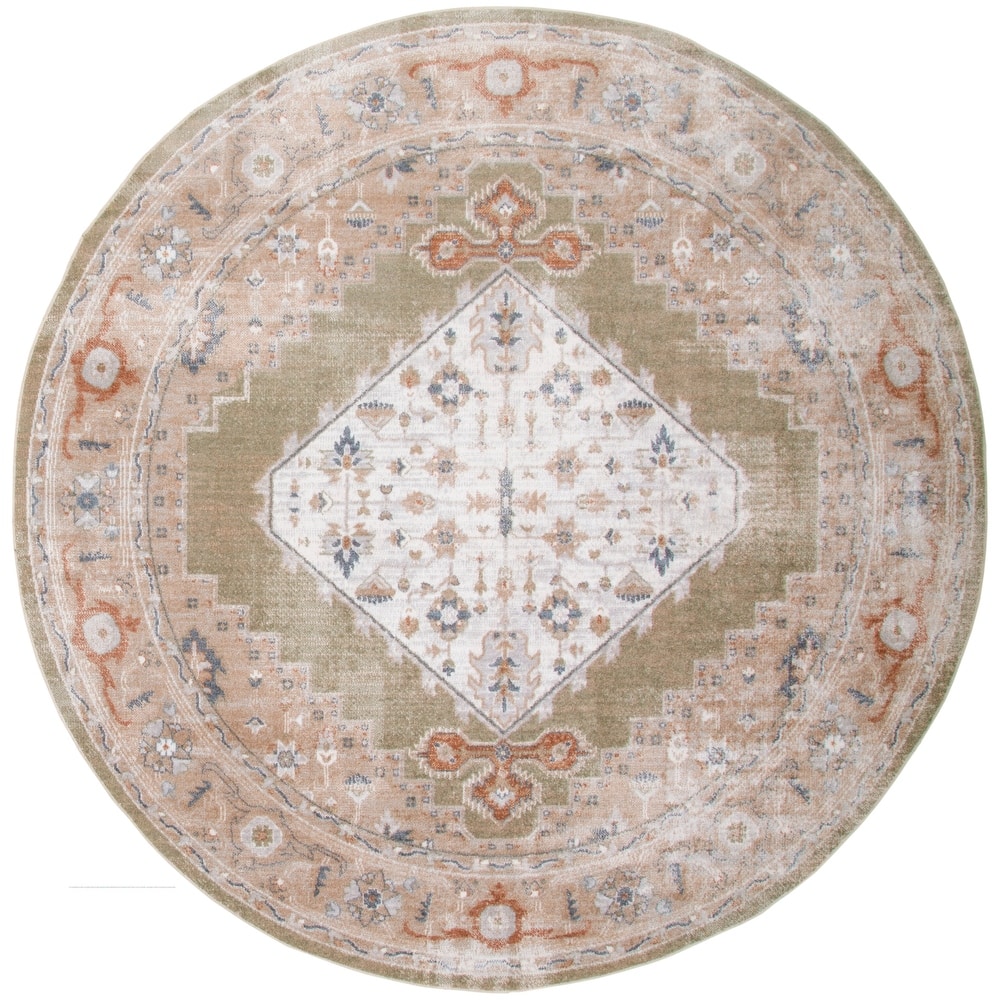Nourison Abby Machine Washable Indoor only Persian Distressed Area Rug