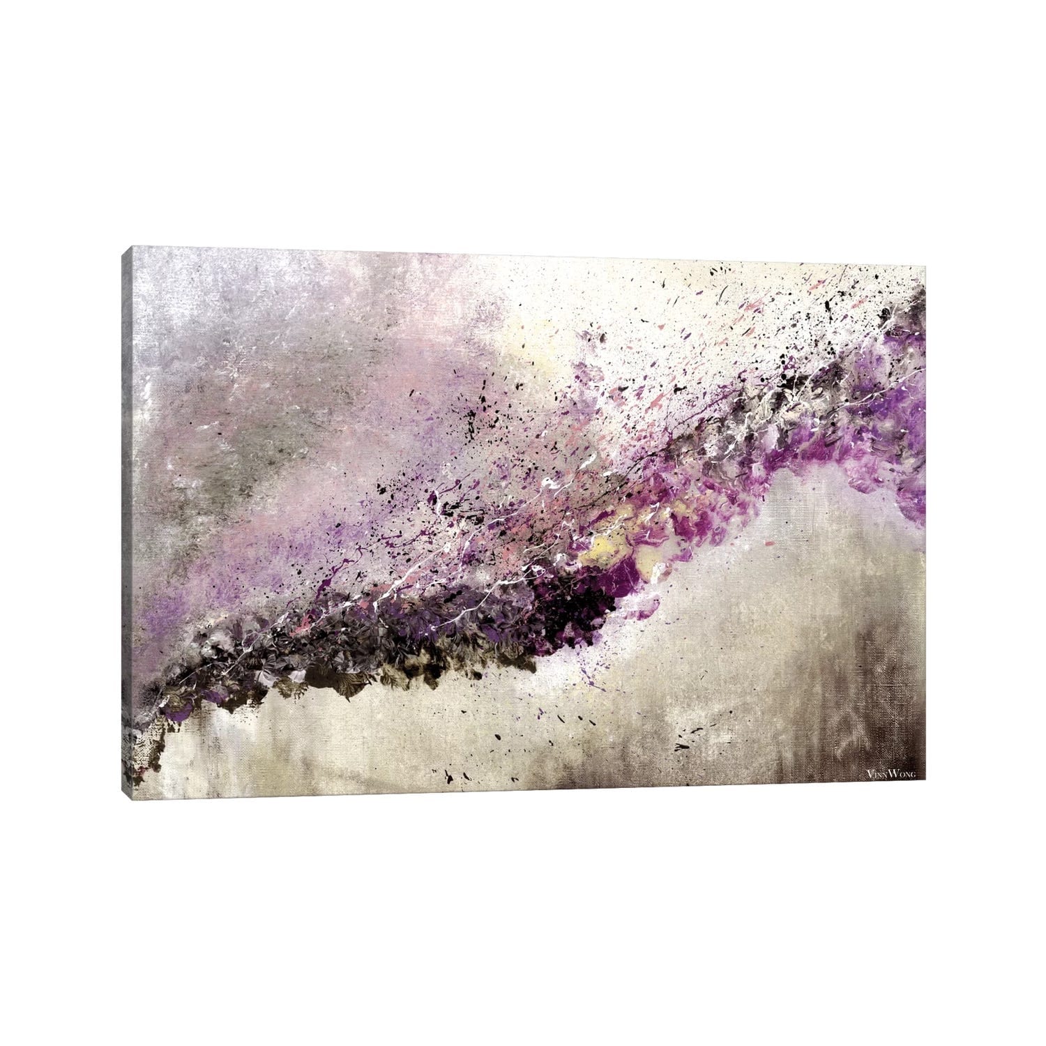 iCanvas "Hush" by Vinn Wong Canvas Print
