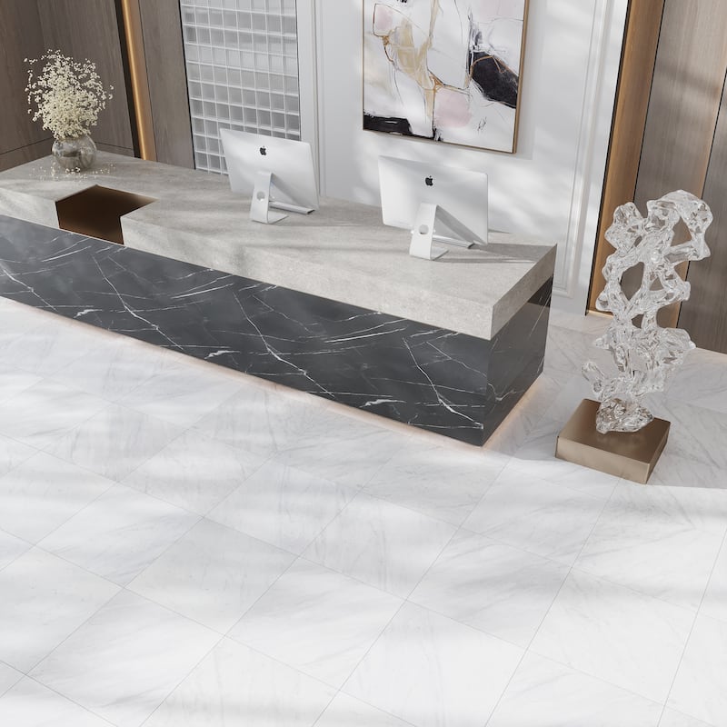 Regalia 24x24 in. Matte Color Body Porcelain Marble-look Vein Large Wall and Floor Tile (15.5 sq ft/case, 4-Pack) - White