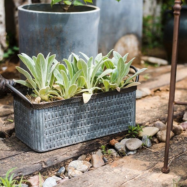 RusticReach Rectangular Iron Planter with Handles. Opens flyout.