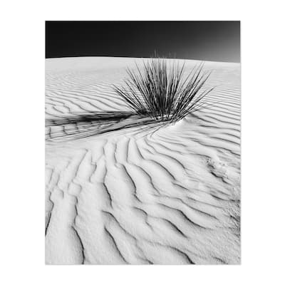 White Sands National Monument New Mexico Photography Art Print/Poster
