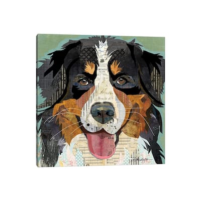 iCanvas "Bernese Mountain Dog Collage" by Traci Anderson Canvas Print