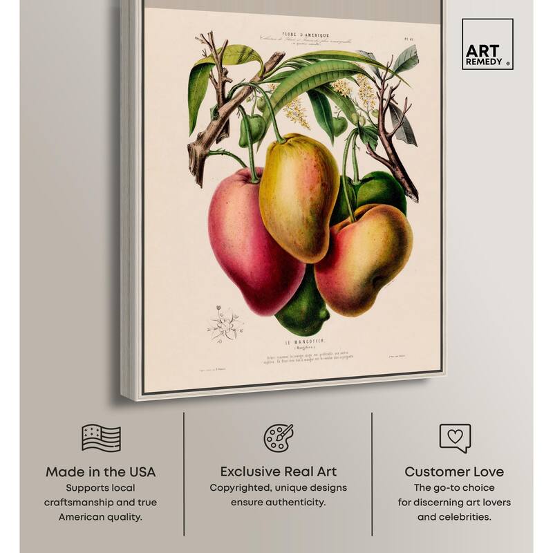 Mangoes by Etienne Denisse Canvas by Art Remedy