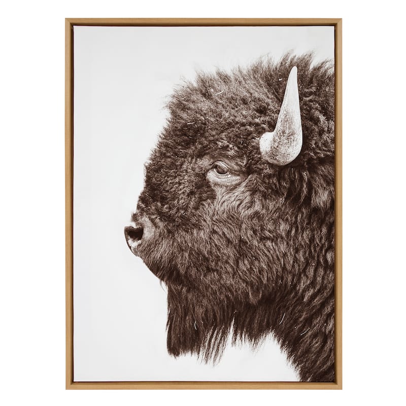 Kate and Laurel Sylvie Bison Profile Framed Canvas by Amy Peterson Art Studio