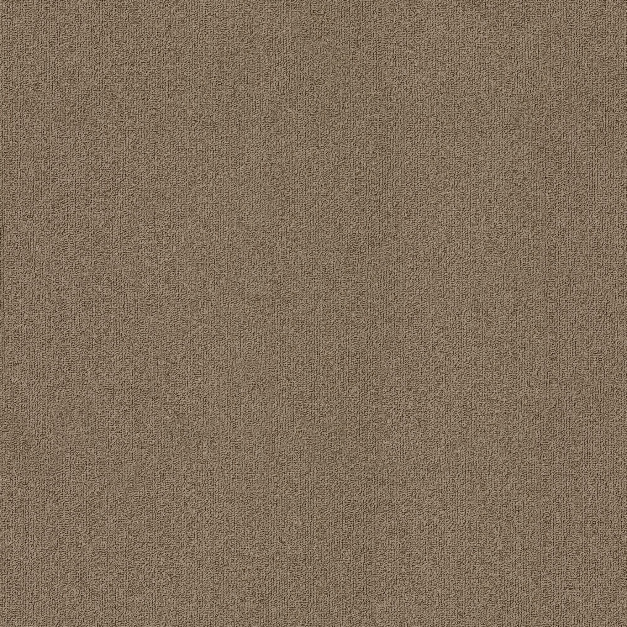 Shaw Philadelphia Commercial Color Accents TL 24" x 24" Glue Down