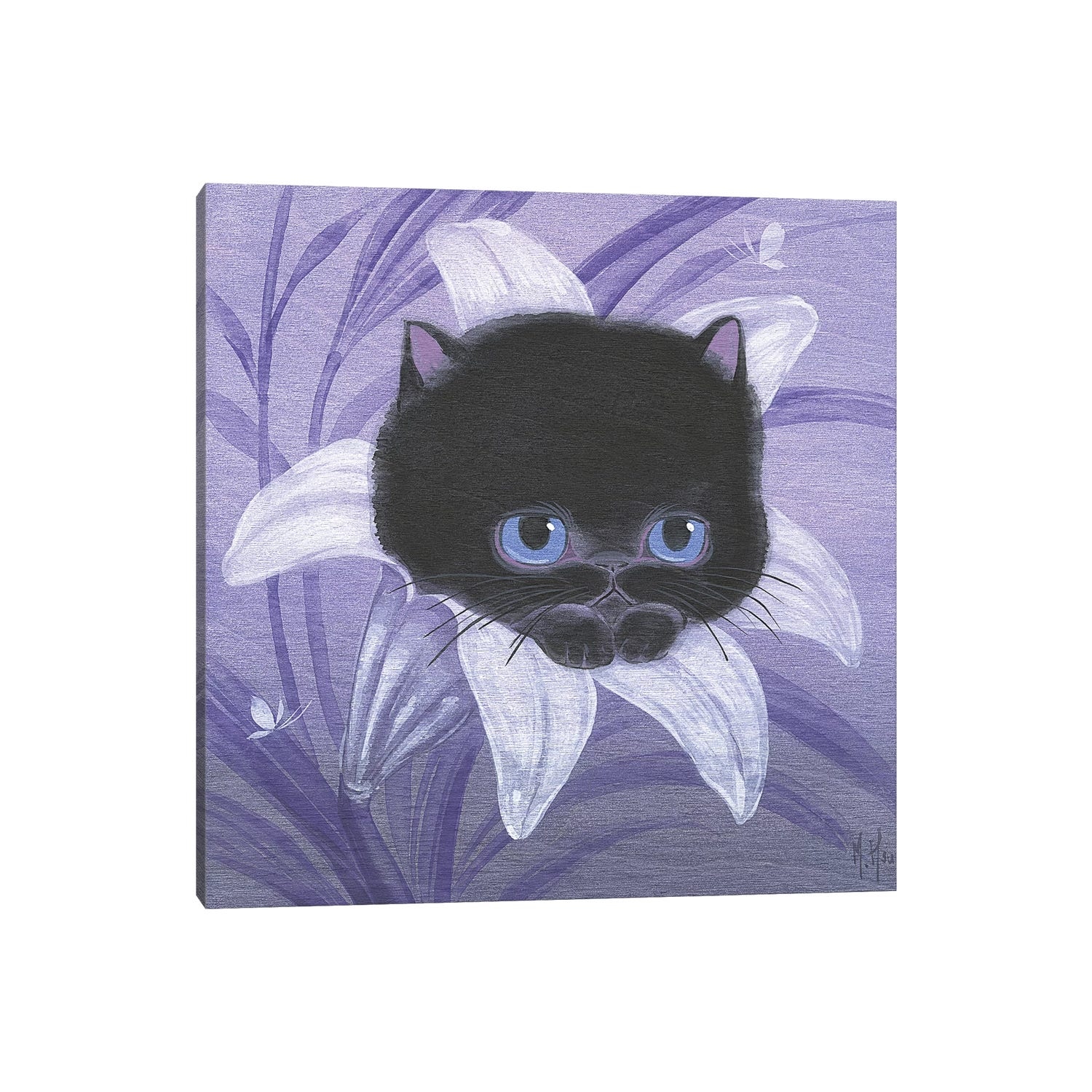 Lily black cat sales