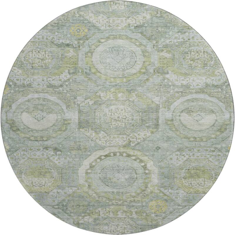 Premium Washable Super Soft Vintage Medallions Mayfield Rug