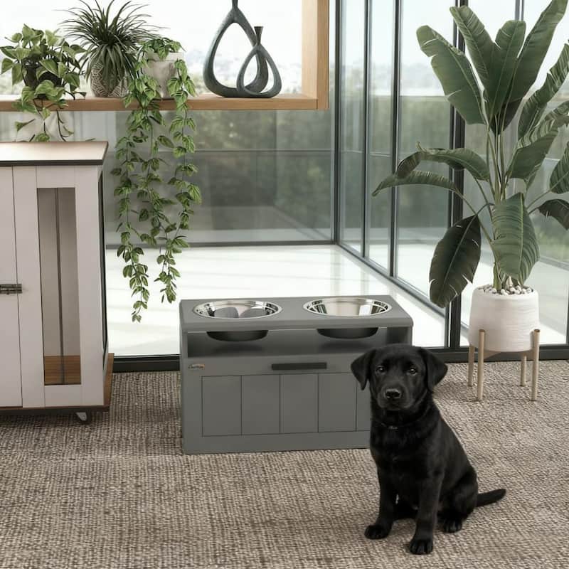 Elevated Dog Bowls with 2 Stainless Steel Bowls
