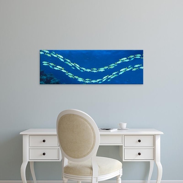 Easy Art Prints Panoramic Images's 'School of fish Great Barrier Reef Australia' Premium Canvas Art