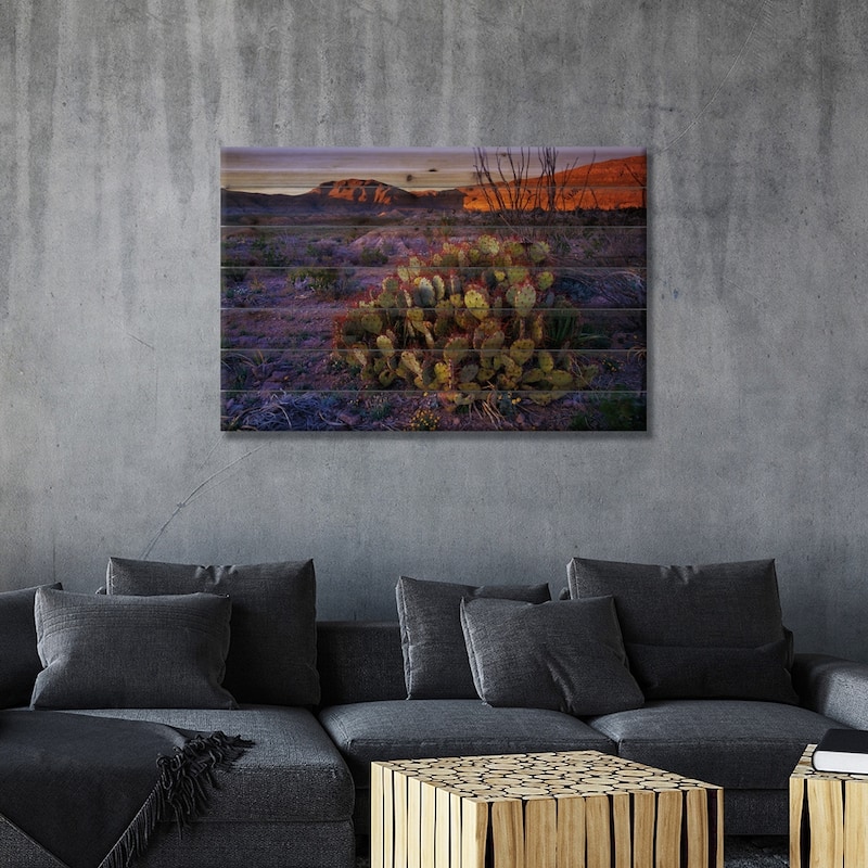 Opuntia In Chihuahuan Desert Landscape, Big Bend National Park, Texas Print On Wood by Tim Fitzharris - Multi-Color