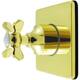 Option Polished Brass
