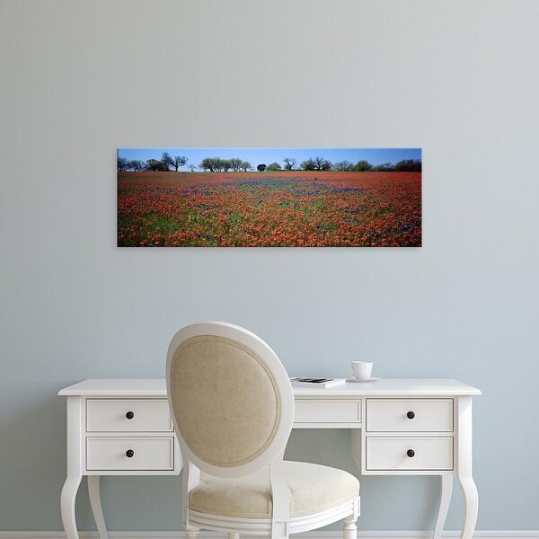 Easy Art Prints Panoramic Images's 'Indian Paintbrush & Bluebonnets TX' Premium Canvas Art
