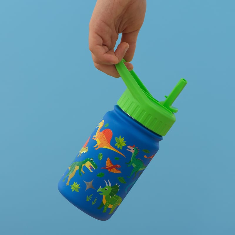 Stainless Steel Kids Water Bottle with Straw Lid - 12 oz