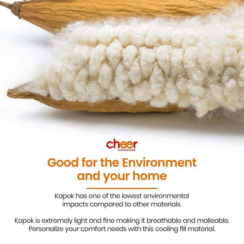 Cheer Collection Set of 2 Wood Cotton Pillows with Microfiber Shell, Standard