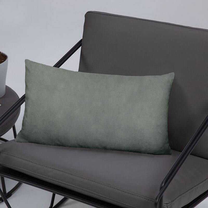 A1HC Pack of 2 Velvet Throw Pillow Insert, Hypoallergenic Down Alternative Fill