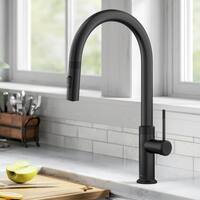 Buy Black Kitchen Faucets Online at Overstock | Our Best ...