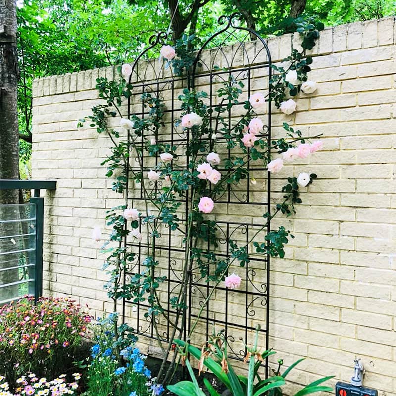 Metal Garden Trellis for Climbing Plants, 2/4 Pack Garden Fence Rustproof Vine Screen Trellis Frame Grow Support Outdoor Trellis