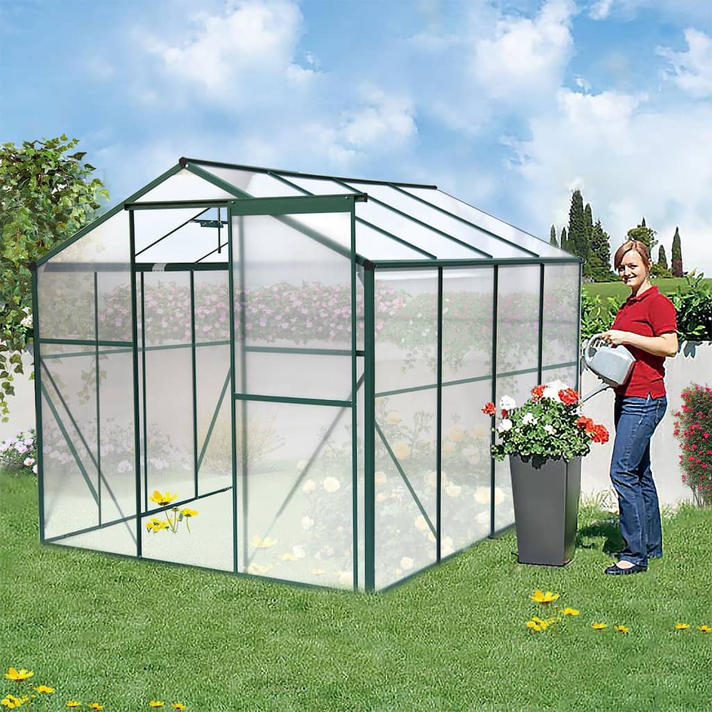 Heavy Duty Walk-in Plant Garden Greenhouse for Backyard Outdoor - 6'x 8'