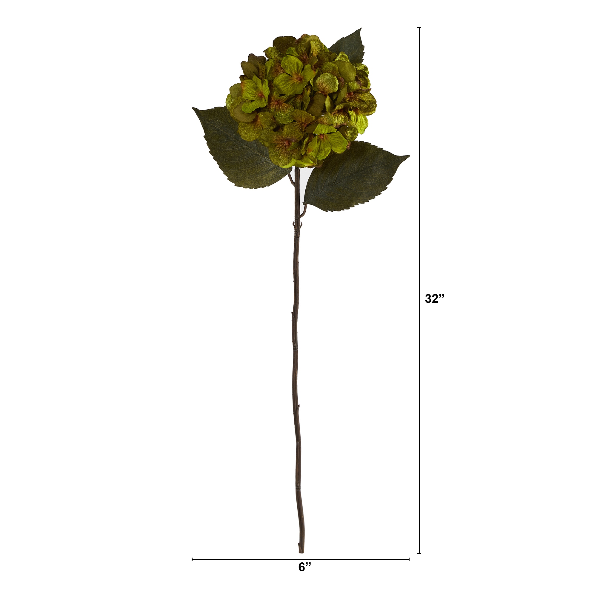 ◆Hydrangea4936◆ Shop Fruit & Landscape Trees For Delivery | Bachman's Minnesota