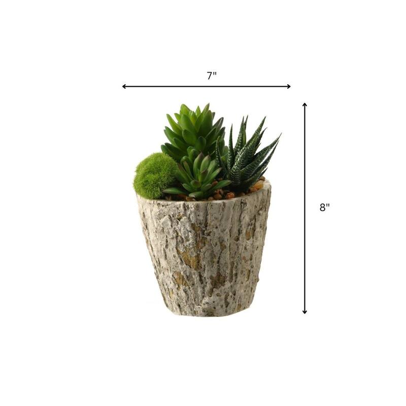 HomeStock Aloe and Succulents in Weathered Oak Look Cement Planter - Lush Faux Greens for Rustic Accents - 8