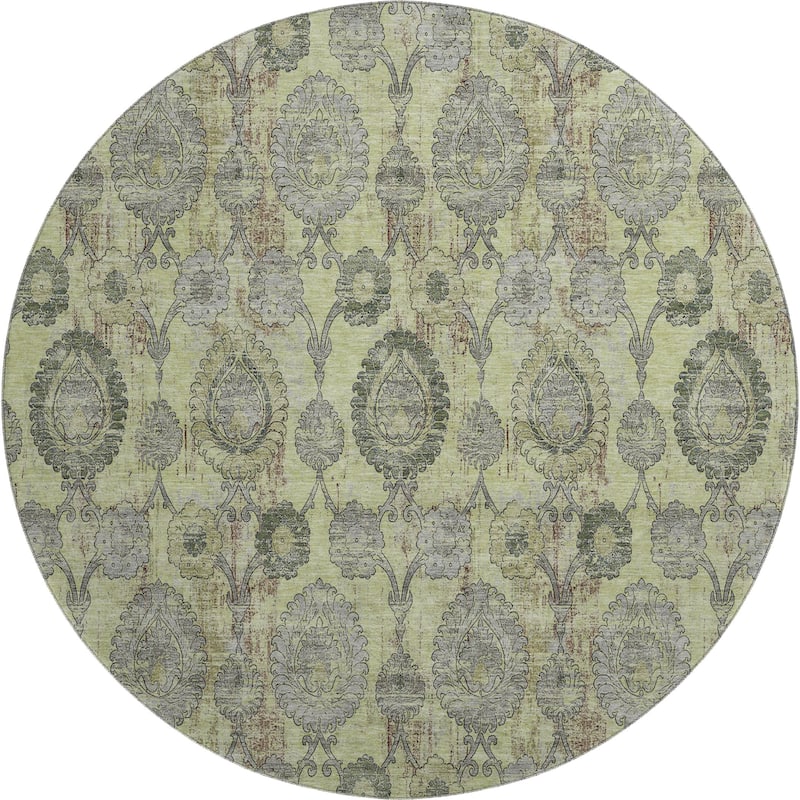 Premium Washable Super Soft Traditional Olivia Mayfield Rug