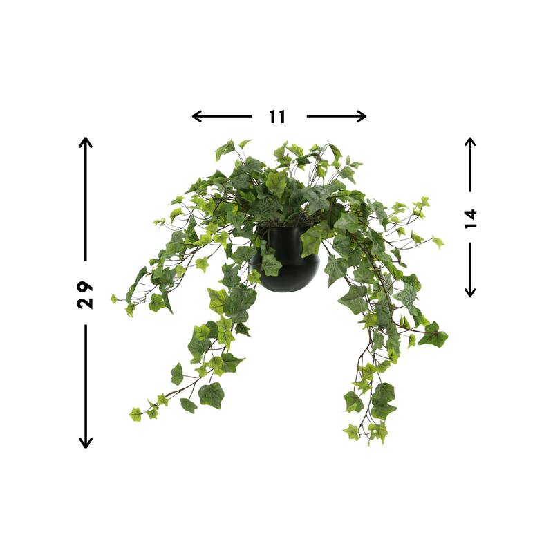Trailing Ivy in a Ceramic Pot - Green