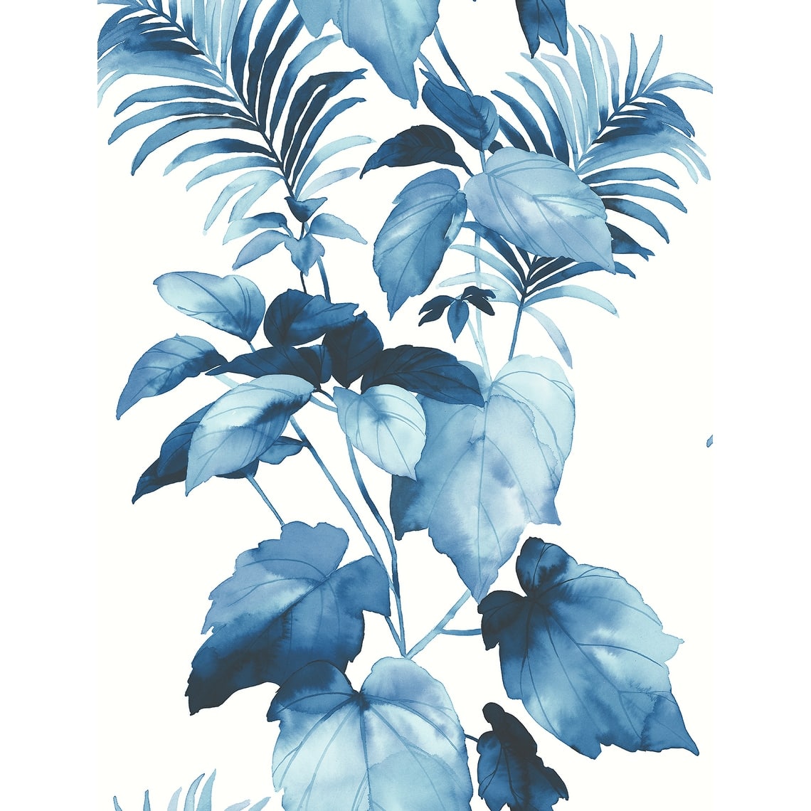 Option Olympic Blue
