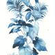 Option Olympic Blue