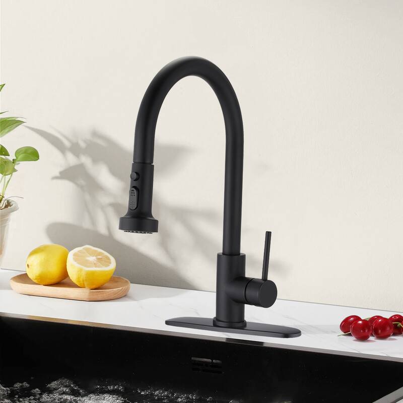 Topcraft Pull Down Single Handle Kitchen Faucet with Baseplate