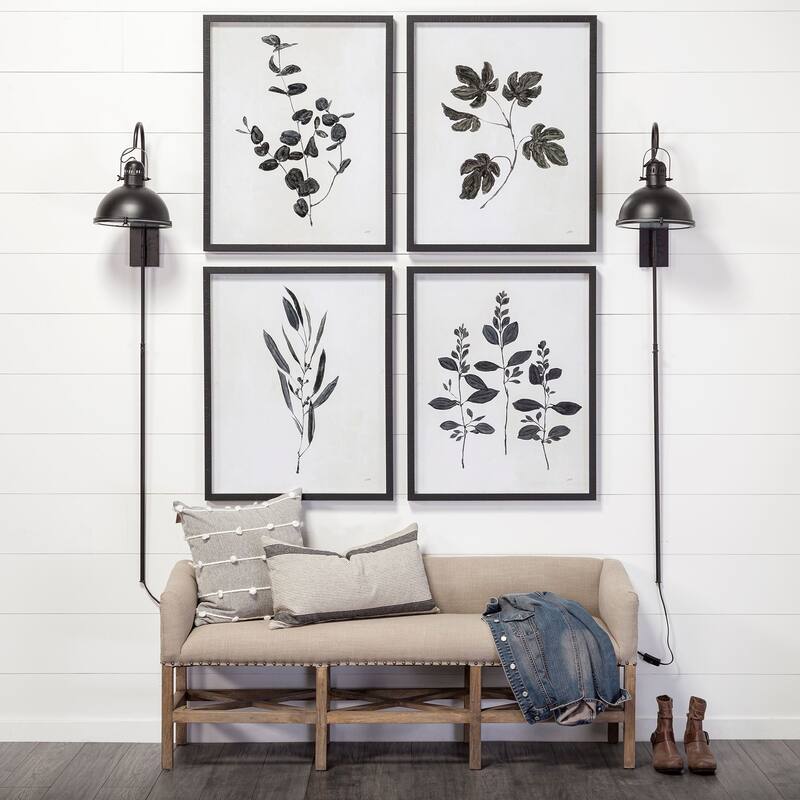 Botanical Study II Framed Art Print