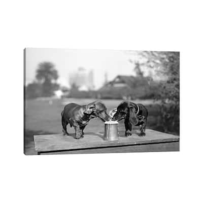 iCanvas "1890s Two Dachshund Puppies Lapping Beer From Stein" by Vintage Images Canvas Print