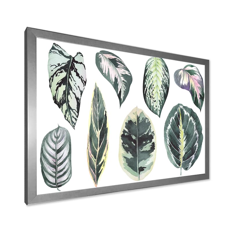 Designart "Tropical Calathea Leaves" Bohemian & Eclectic Framed Art Print