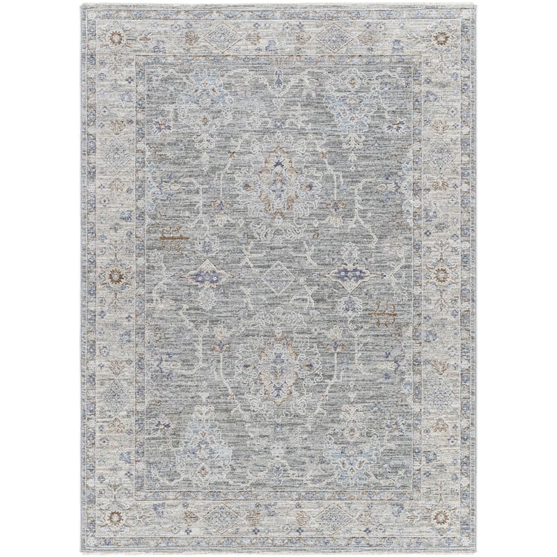 Hunza Updated Traditional Medallion Area Rug