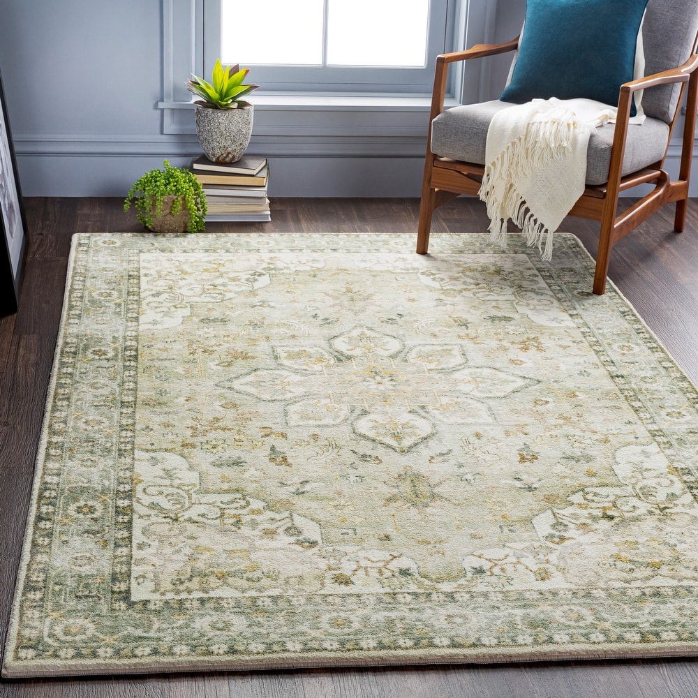 Livabliss Edouart Vintage Medallion Printed Area Rug