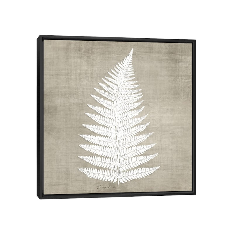 iCanvas "Natures Fern I" by Denise Brown Framed - 37x37 - Black