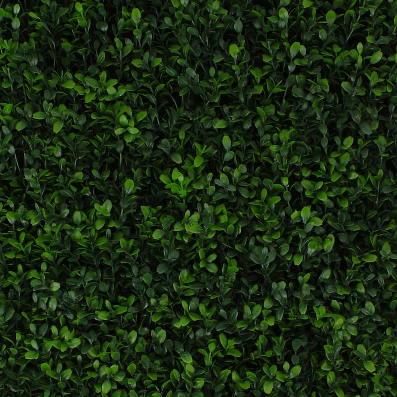 Greenery Panel - 2 Pack - Soft Touch Holly