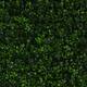Option Soft Touch Holly