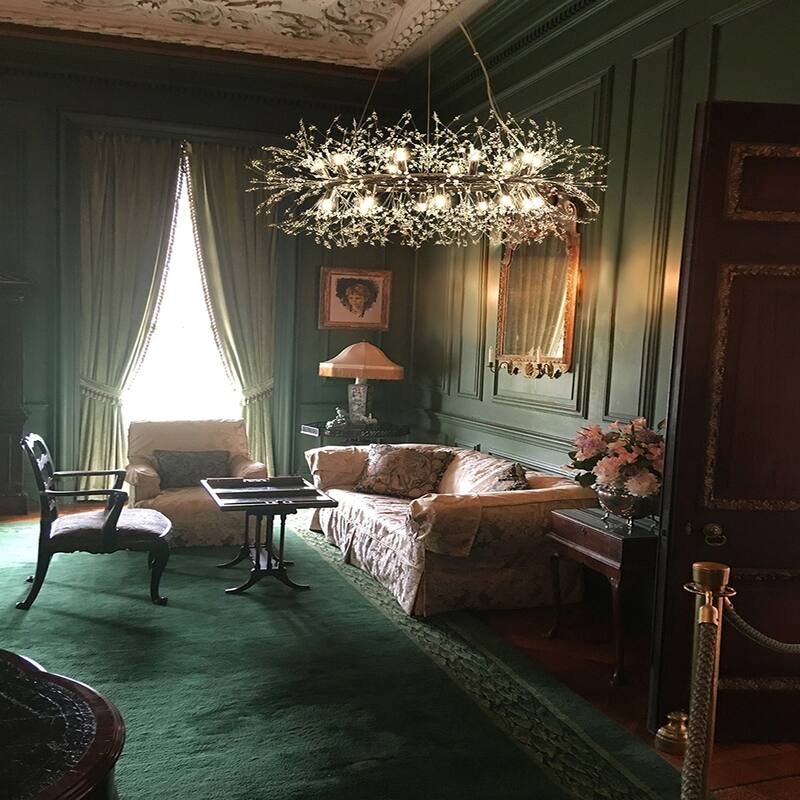 12/20-Light Modern Firework Dandelion Crystal Chandelier(Bulb Included)