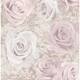 Option Light Pink