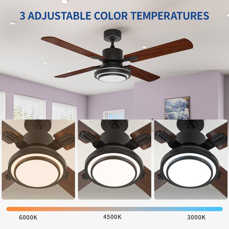 Moasis 52"Modern Ceiling Fan with Light and Remote Control