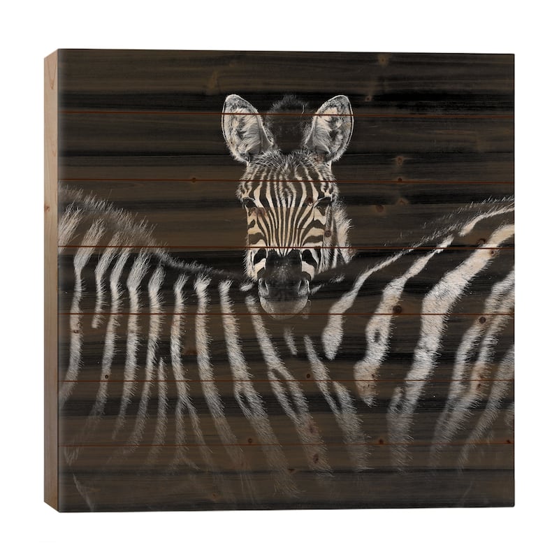Two Zebras In Black & White I Print On Wood by Lukas Holas - Multi-Color - 26x26x1.5