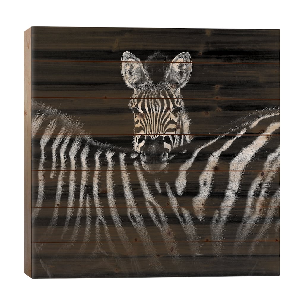 Two Zebras In Black & White I Print On Wood by Lukas Holas - Multi-Color