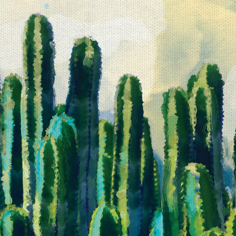Desert Colors by Studio Arts Canvas Art Print