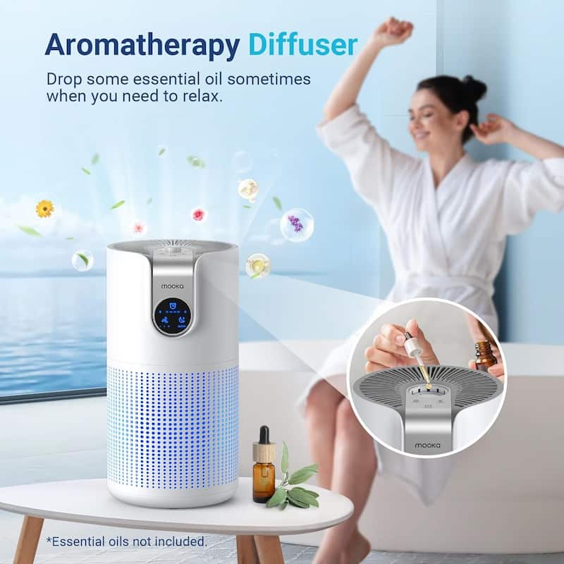 Large Room HEPA Air Purifier with Quiet Sleep Mode